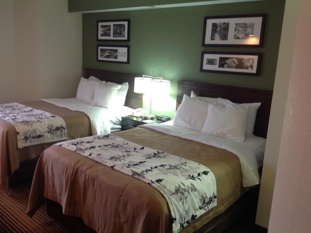 Sleep Inn & Suites Kingsport Tricities Airport Dış mekan fotoğraf