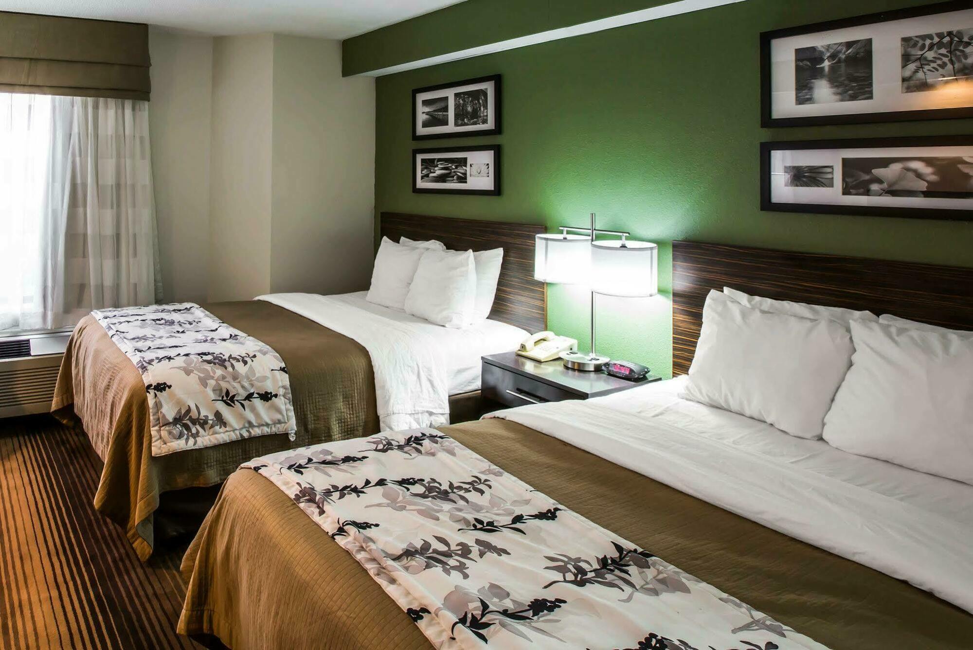 Sleep Inn & Suites Kingsport Tricities Airport Dış mekan fotoğraf