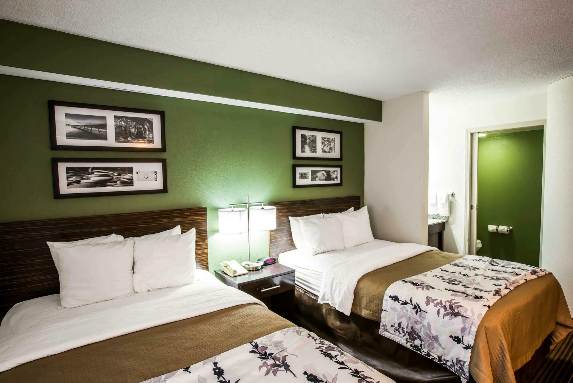 Sleep Inn & Suites Kingsport Tricities Airport Dış mekan fotoğraf